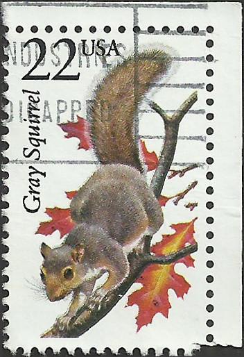 # 2295 USED GRAY SQUIRREL