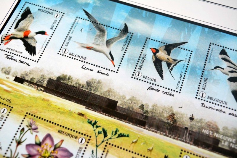 COLOR PRINTED BELGIUM 2011-2020 STAMP ALBUM PAGES (145 illustrated pages)