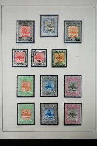 African Early 1900's Stamp Collection