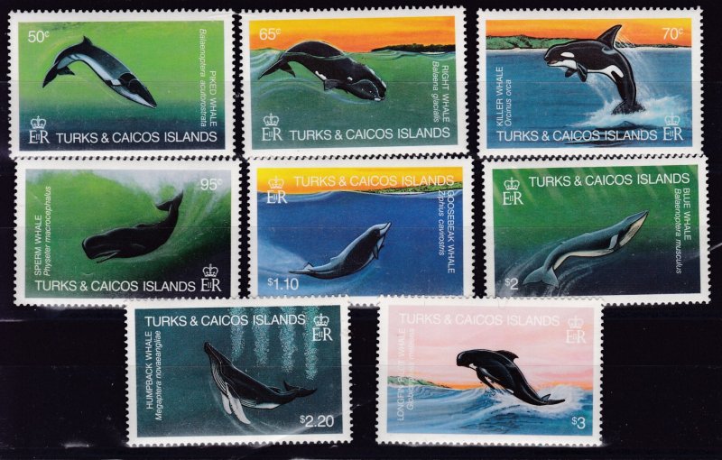 Turks & Caicos 1983 WHALES complete (8)  Scott 564-571 VF/NH(**)