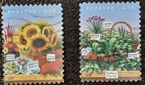 US Scott # 4914-4915; two used (49c) Farmers market, 2014; VF centering; off pp