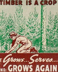 Great WW2 Forestry x 2, US Poster Stamps. C1940's. 42x50mm