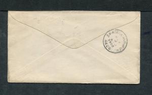 Postal History - Kalamazoo MI 1900 American Flag AMF-B14 Cancel Stationery B0672