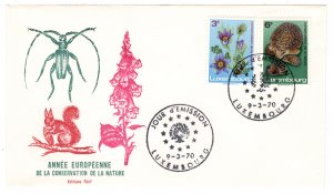 Luxembourg - FDC - Conversation Year - # 485 - 486 - Cachet - Set of 2