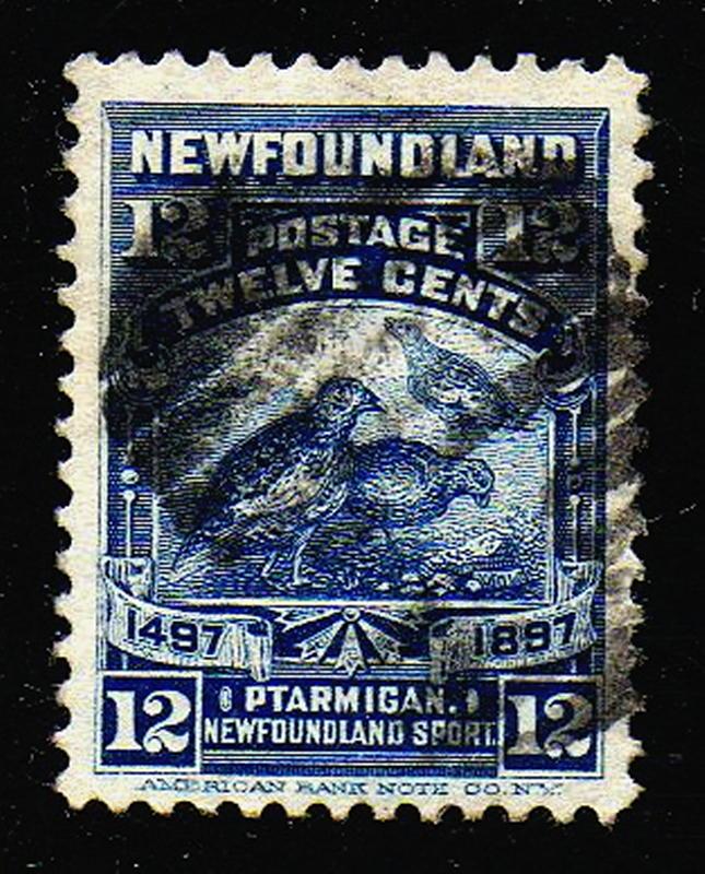 Newfoundland #69 Used  CV $14.00 