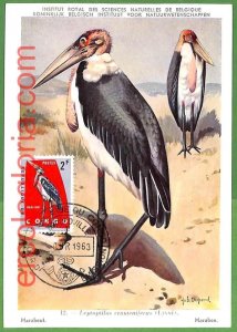 32853 - CONGO - MAXIMUM CARD - 1963 - FAUNA, BIRDS-