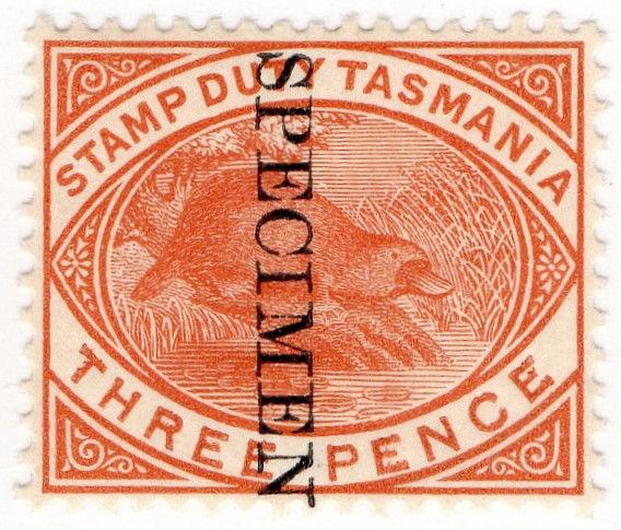 (I.B) Australia - Tasmania Revenue : Stamp Duty 3d (specimen)