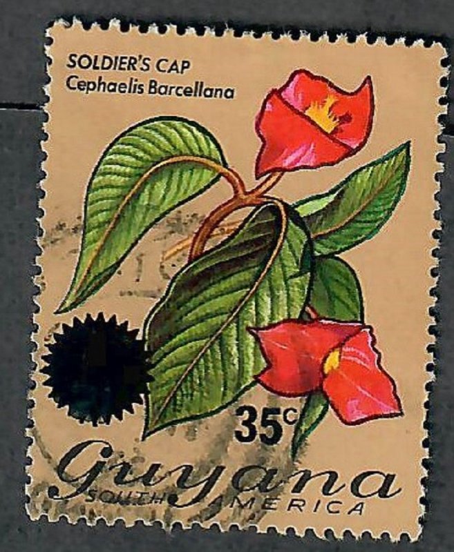 Guyana #234 used single