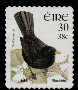 IRELAND QEII SG1430, 2001 30p/38c blackbird, FINE USED.