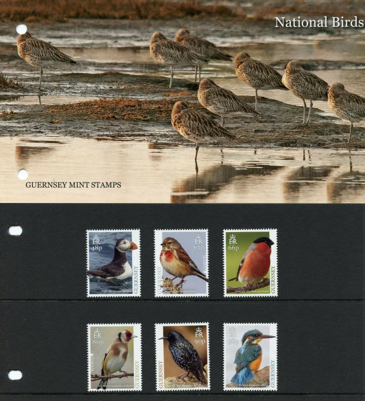 Guernsey 2019 MNH National Birds Europa Kingfishers 6v Set Pres Pack Stamps