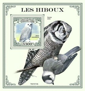 Togo 2021 MNH Birds of Prey on Stamps Owls Snowy Owl Northern Hawk-Owl 1v S/S