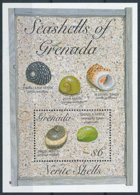 [109070] Grenada 1993 Marine life seashells Souvenir Sheet MNH