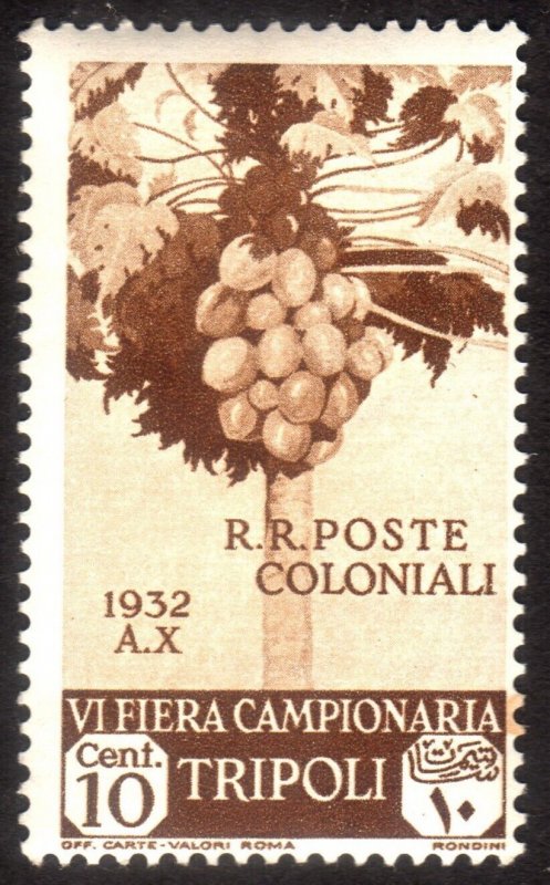 1932, Tripolitania 10c, MH, Sc B38