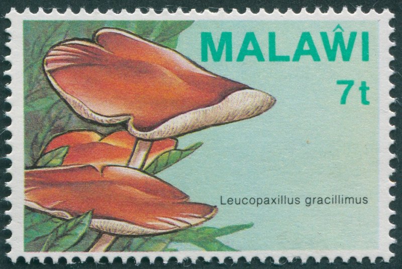 Malawi 1985 7t Leucopaxillus gracillimus SG720 MNH