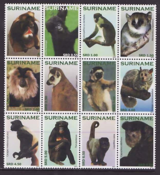 Surinam-Sc#1407- id8-unused NH set-Animals-Primates-Monkeys-2010-