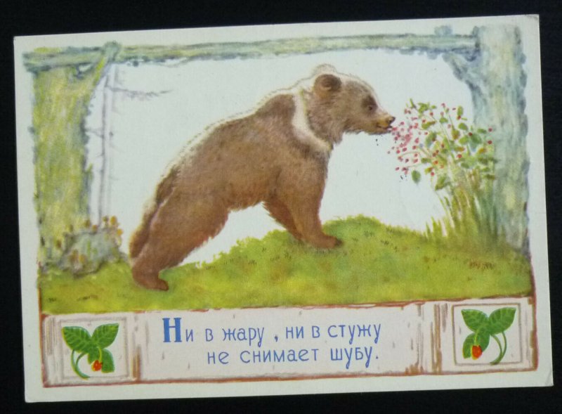 Card 1978 Norway Szpicbergen Pyramide Bear Animal Fauna Yugoslavia Serbia US 12 