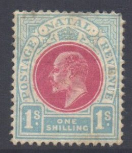 South Africa Natal Scott 106 - SG155, 1904 Edward VII 1/- unused filler