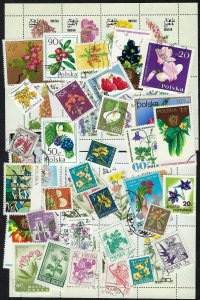 50 Different World Wide Flower stamps