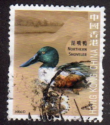 Hong Kong 1242 - Used - Northern Shoveler (cv $3.50)