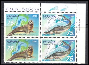 UKRAINE - 2002 FAUNA OF THE SEA / SEAL & FISH - SE-TENANT PAIR 4V MINT NH