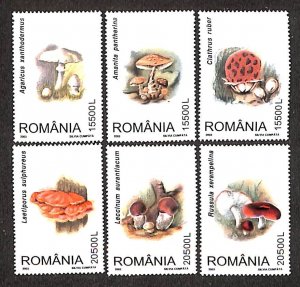 Romania 2003, Mushrooms 6v, MNH