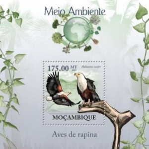 Mozambique - Raptor Birds on Stamps -  Stamp S/S  - 13A-312
