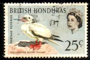 Bird, Red-footed Booby, British Honduras stamp SC#174 used