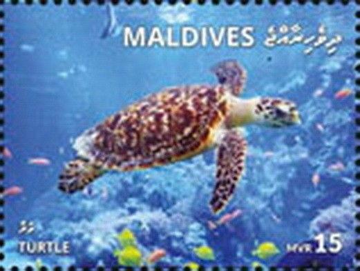 Z08 MLD1801local02a Maldives 2018 Turtles MNH ** Postfrisch