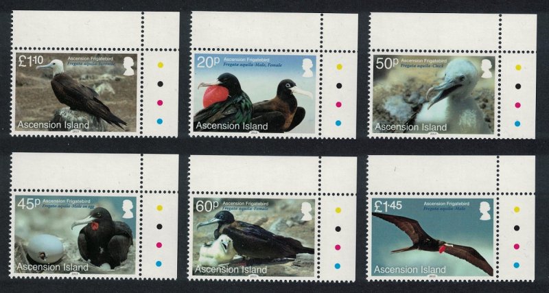 Ascension Frigatebird 'Fregata aquila' 6v Corners 2013 MNH SG#1176-1181