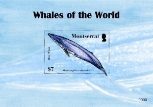 Montserrat - 2008 Whales of the World - Souvenir Sheet - MNH