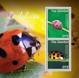 Gambia 2014 - Ladybugs - Souvenir stamp sheet - Scott #3595 - MNH