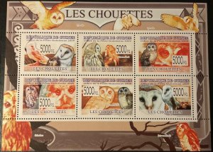 2009 R. from GUINEA. Owls. 1 block sheet with 6v + 1 block sheet with 1v. NHM-