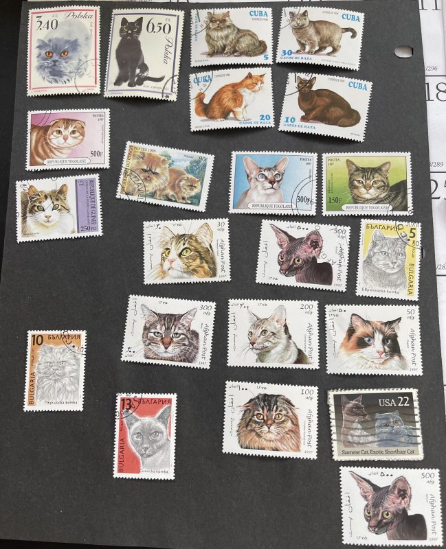 World  Wide Cat Stamps Mixture Cute Selection some series.  Free Shipping