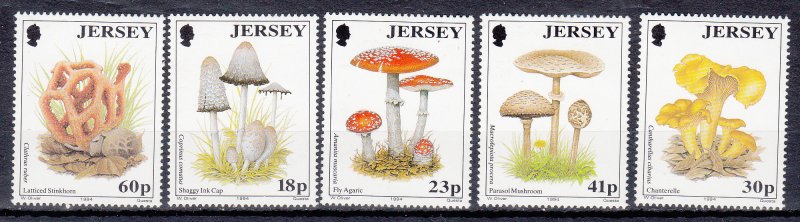 Jersey 1994 Fungi - NHM