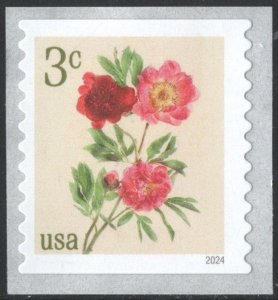 SC#5904 3¢ Peonies Coil Single (2024) SA