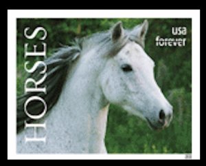 US 5893a Horses C imperf NDC single MNH 2024 after June 30