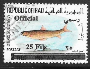 Iraq O313: 25f on 2f Shabout (Barbus grypus), overprinted, used, F-VF