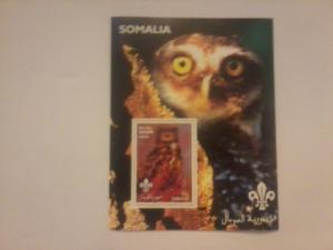 SOMALIA SHEET BIRDS OF PREY OWLS