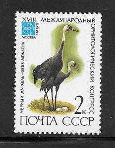 Russia #5050 MNH Single.