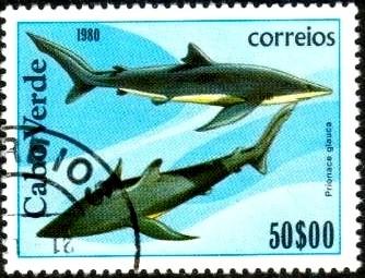 Fish, Blue Shark (Prionace glauca), Cape Verde SC#415 used