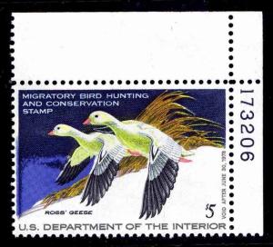 RW44 MINT **PNS** FEDERAL DUCK STAMP OF 1977 - OGNH - VF (ESP#0735)