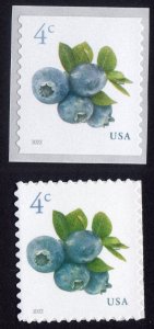 Scott #5652-5653 Blueberries Single Stamp - MNH