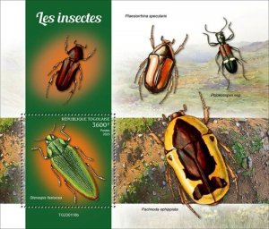 Togo - 2023 Insects, Beetle - Stamp Souvenir Sheet - TG230118b