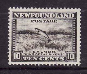 Newfoundland-Sc#260- id7-unused hinged 10c Leaping Falls-1941-44-