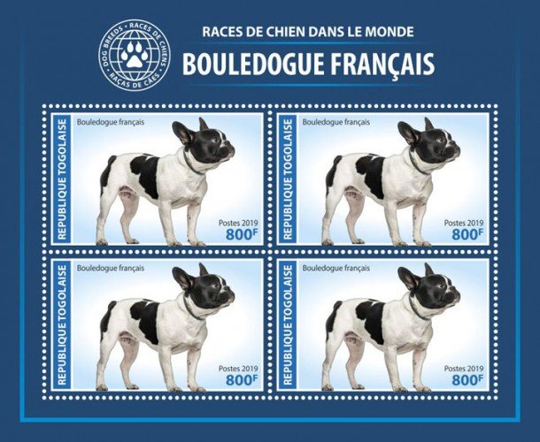 TOGO - 2019 - French Bulldog - Perf 4v Sheet - MNH