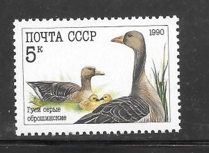 Russia #5909 MNH Single