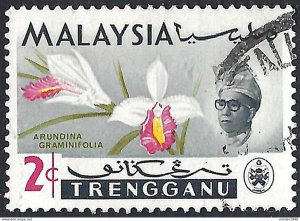 MALAYSIA TRENGGANU 1965 2c Multicoloured SG101 Used