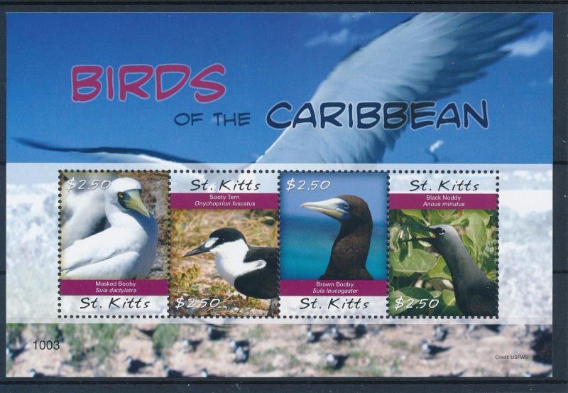 [35800] St. Kitts 2010 Birds Vögel Oiseaux Ucelli   MNH Sheet