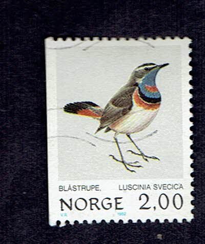 NORWAY SCOTT#800 1982 2kr BIRDS - USED