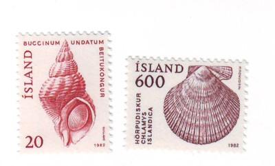 Iceland Sc552-3 1982 animal shell stamp mint